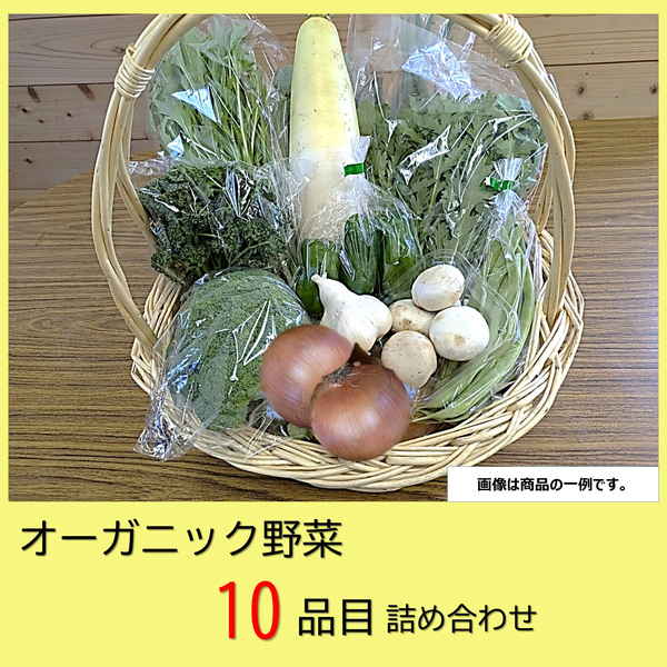 【中四国地方 兵庫県 送料無料】オーガニック野菜 詰め合わせセット C（野菜 10品目） 商品サムネイル